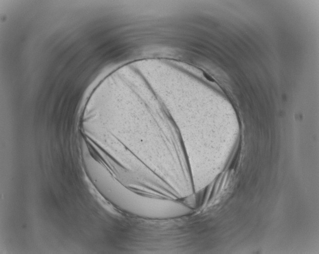 X0000068280816200605191852