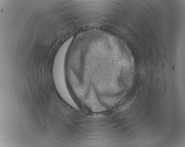 X0000068280818200605191851