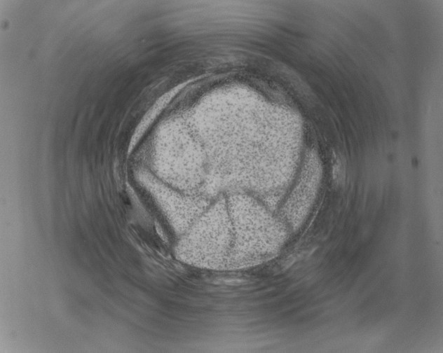 X0000068280819200605191851