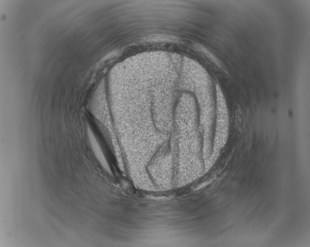 X0000068280821200605191851