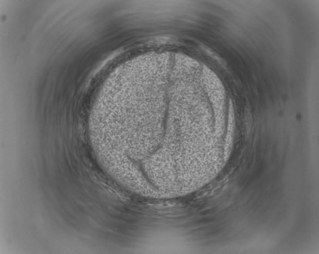 X0000068280823200605191851