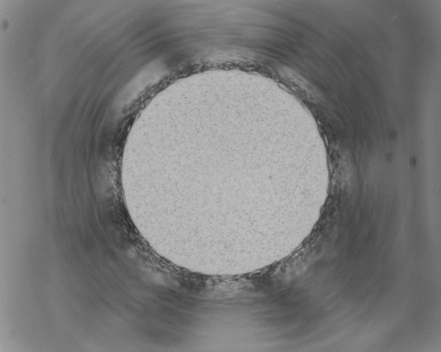 X0000068280824200605191851