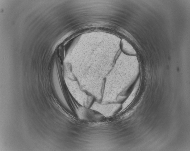 X0000068280826200605191851