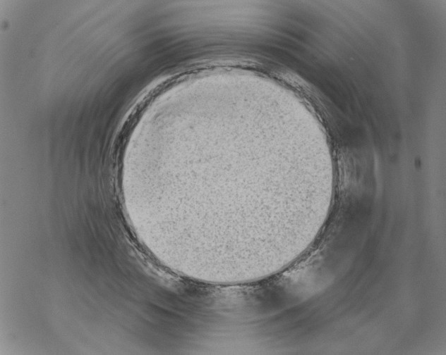 X0000068280828200605191851