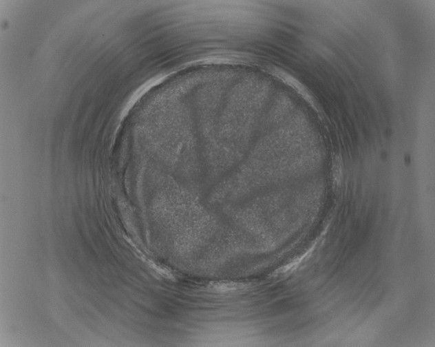 X0000068280829200605191851