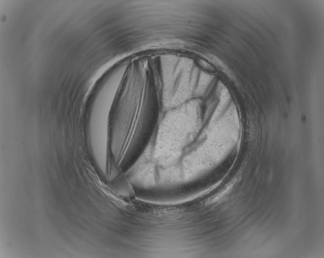 X0000068280830200605191851