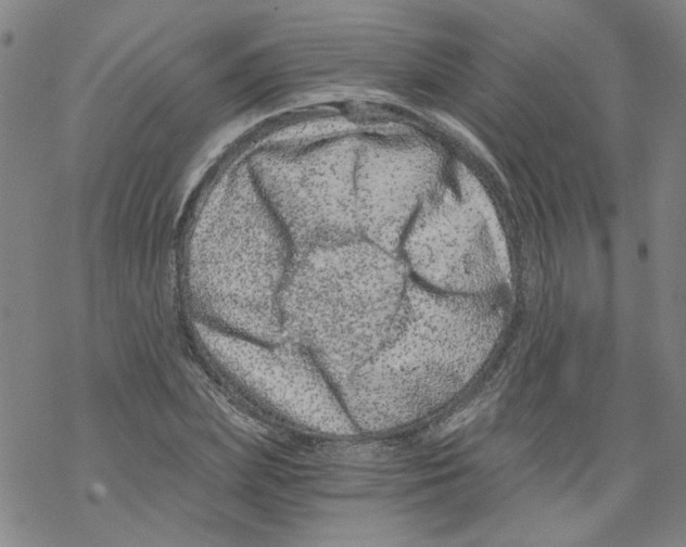 X0000068280831200605191851