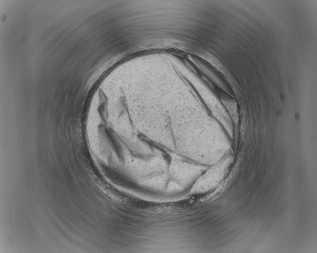 X0000068280834200605191851