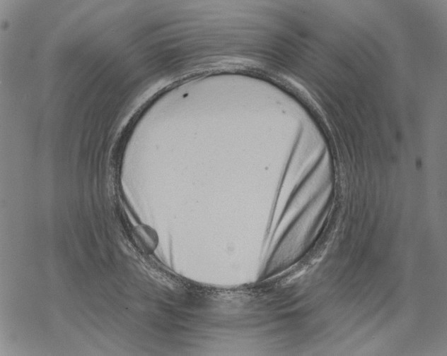 X0000068280835200605191851