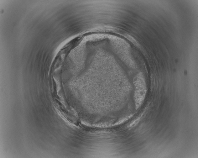 X0000068280838200605191851