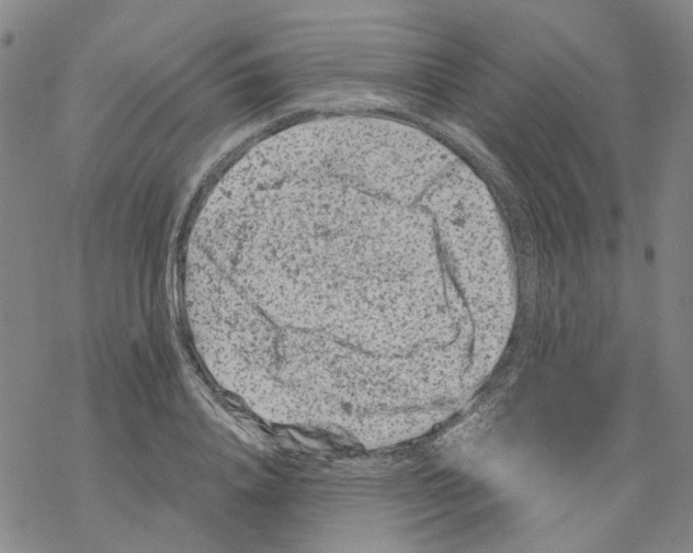 X0000068280840200605191851