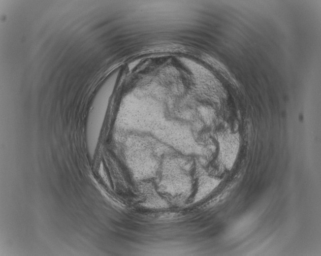 X0000068280841200605191851