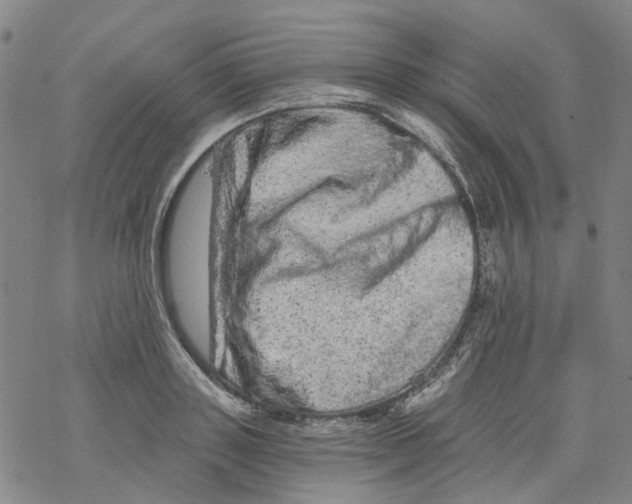 X0000068280843200605191851