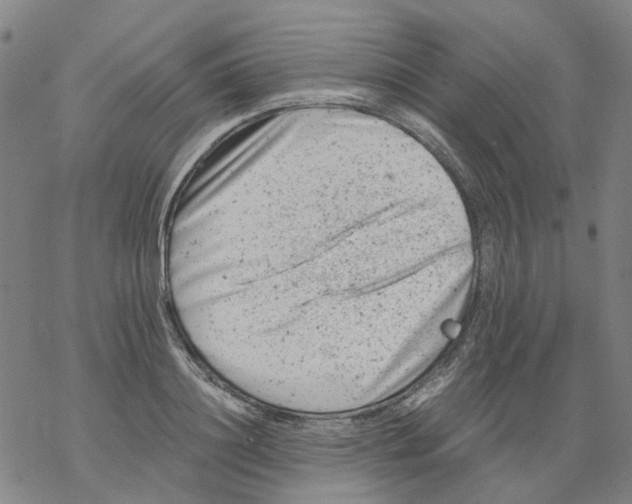 X0000068280844200605191851