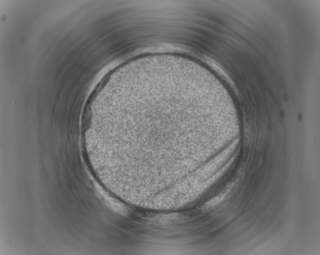 X0000068280845200605191851