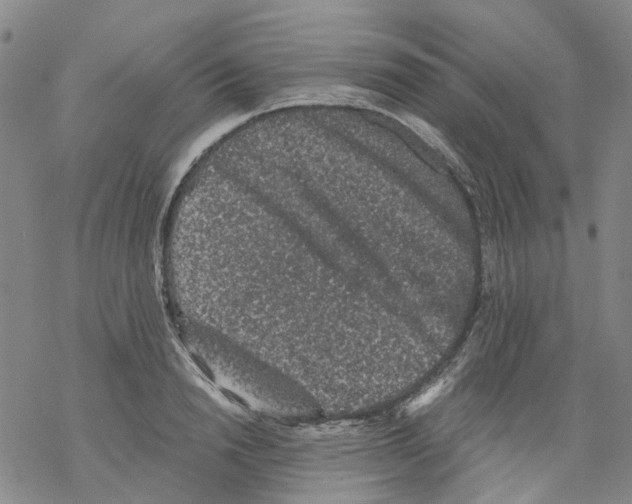 X0000068280846200605191851