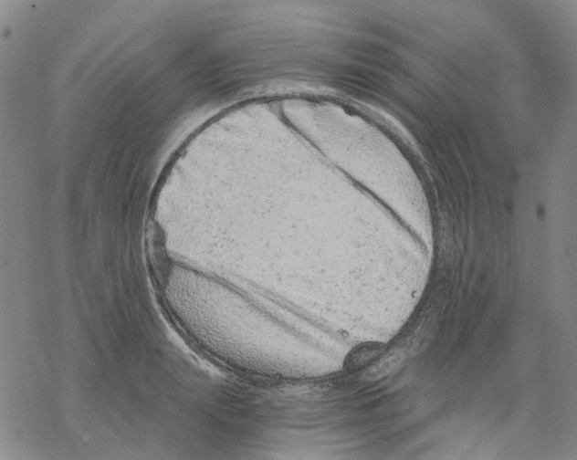 X0000068280847200605191851