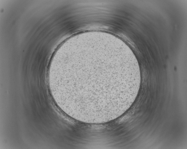 X0000068280848200605191851