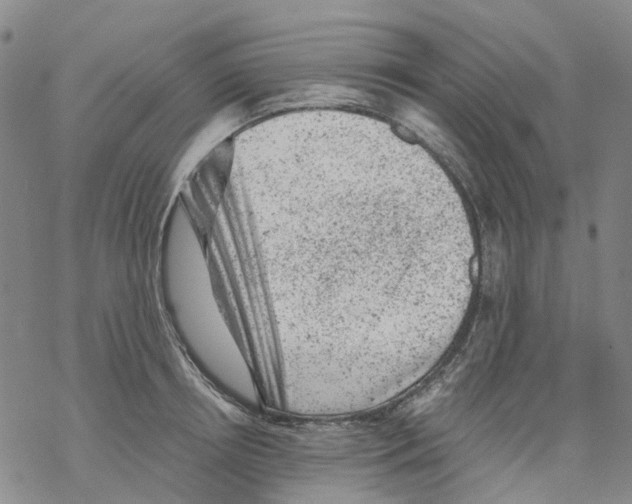 X0000068280850200605191851