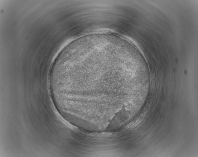 X0000068280851200605191851