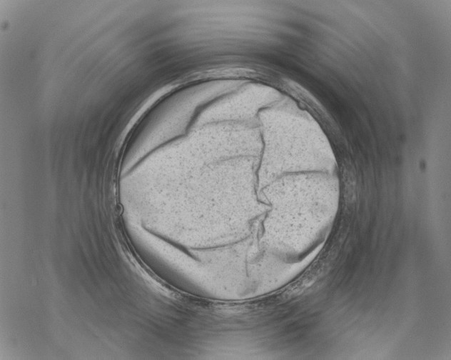 X0000068280852200605191851