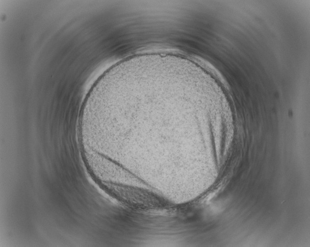 X0000068280855200605191851