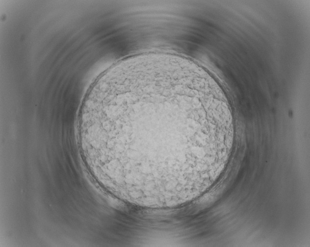 X0000068280856200605191851