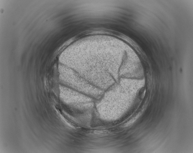 X0000068280857200605191851