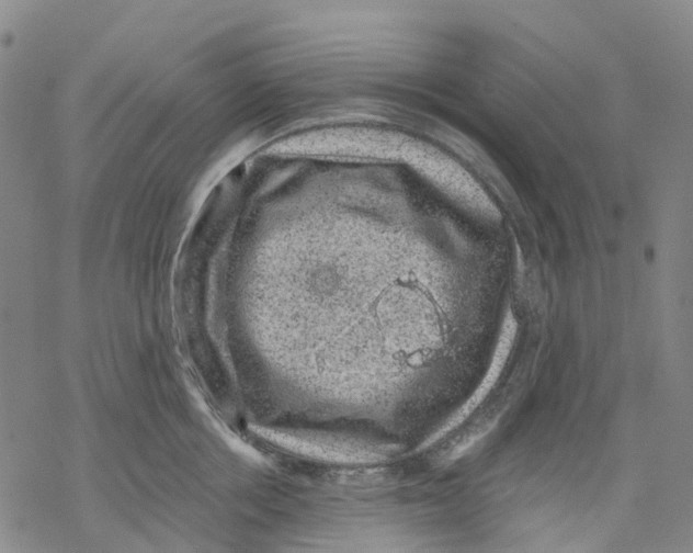 X0000068280858200605191851