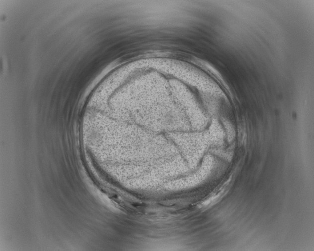 X0000068280859200605191851