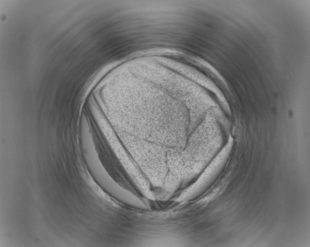 X0000068280860200605191851