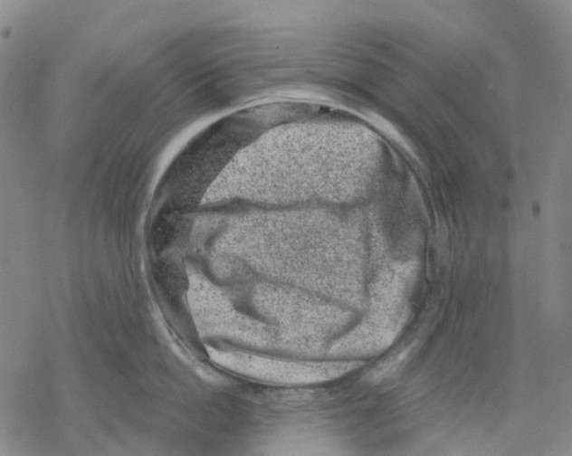 X0000068280862200605191852