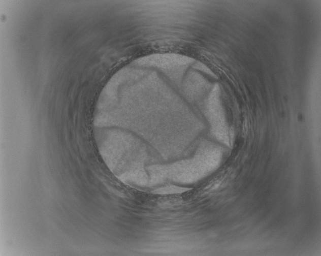 X0000068280865200605191851