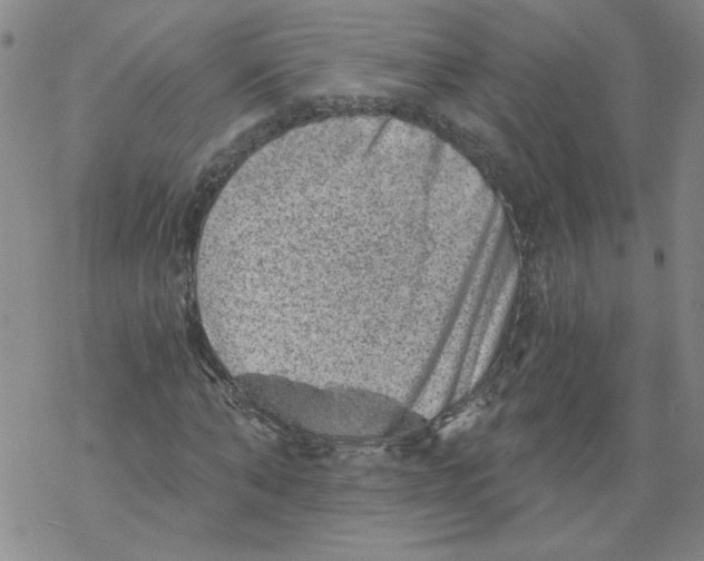 X0000068280870200605191851