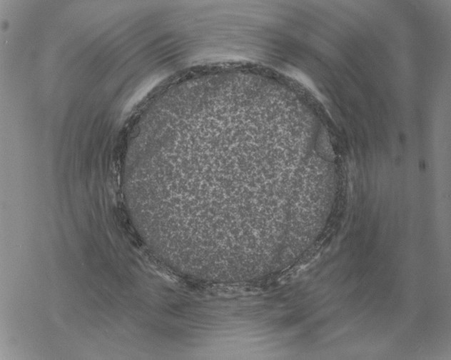 X0000068280871200605191851