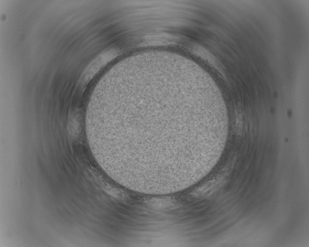 X0000068280874200605191851