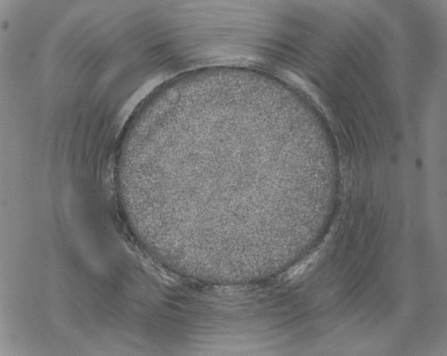 X0000068280875200605191851