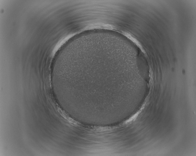 X0000068280877200605191851