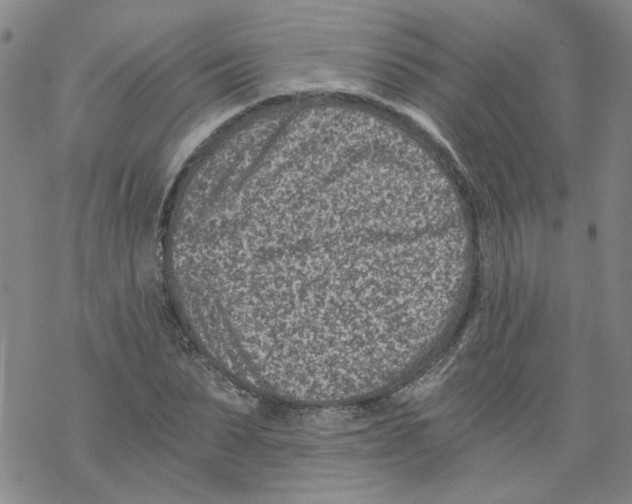 X0000068280879200605191851