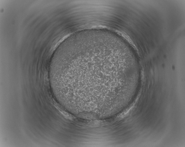 X0000068280881200605191851