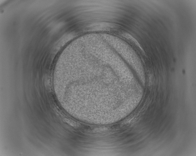 X0000068280882200605191851