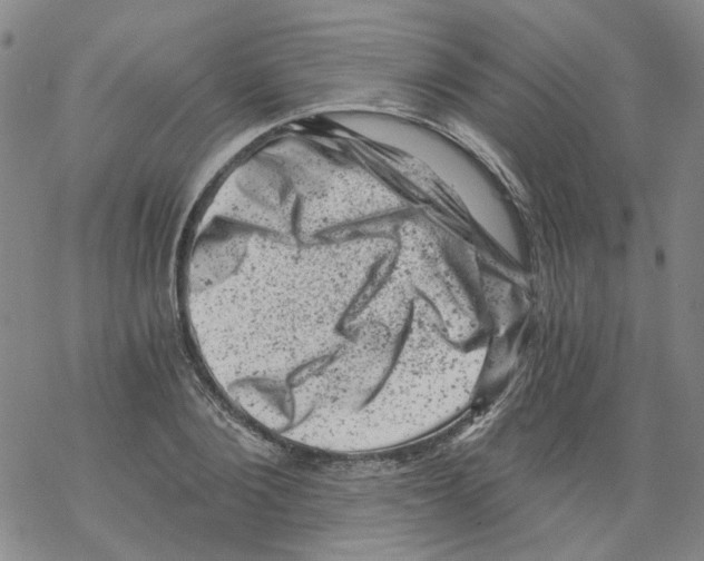 X0000068280884200605191850