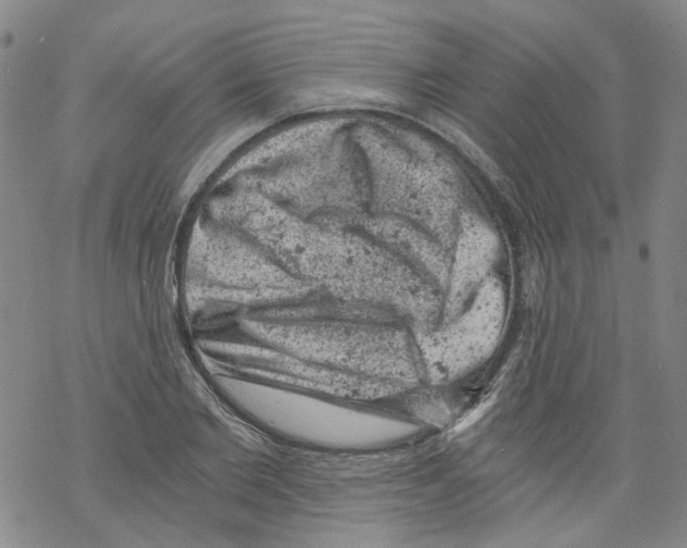 X0000068280885200605191850