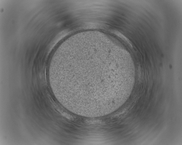 X0000068280886200605191850