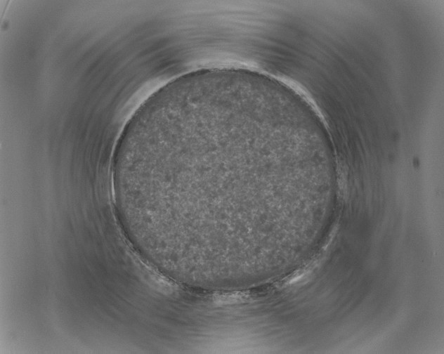 X0000068280887200605191850