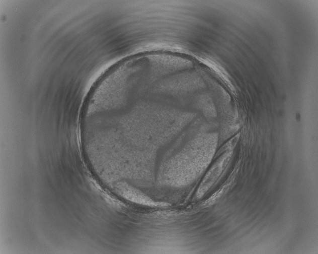 X0000068280888200605191850