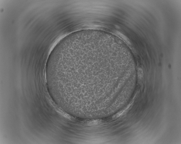 X0000068280891200605191850