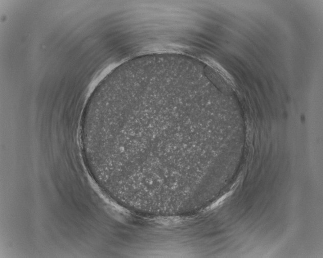 X0000068280893200605191850