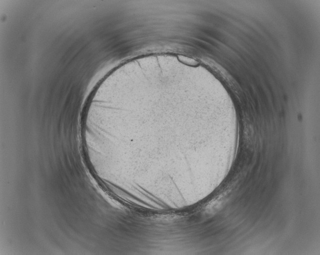 X0000068280894200605191850