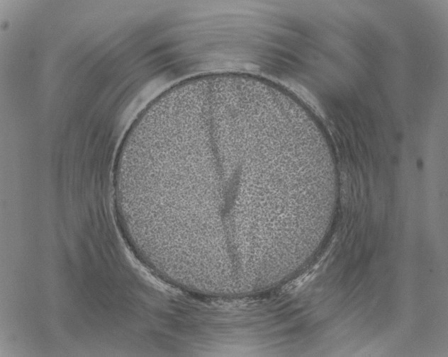 X0000068280895200605191850